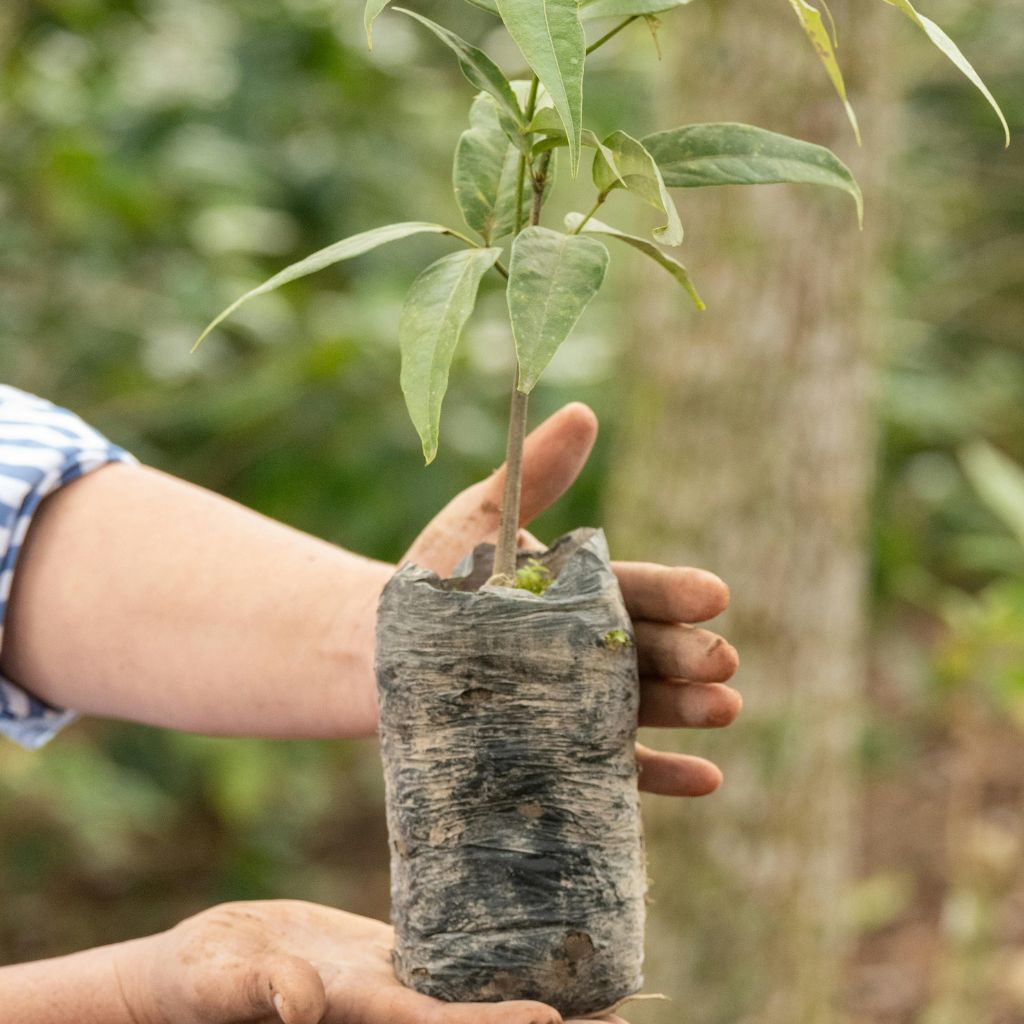 Návrh bez názvu (23)